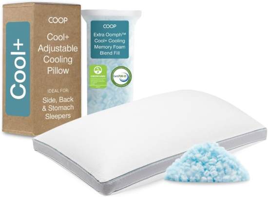 Coop Home Goods Cool Plus Adjustable Pillow King