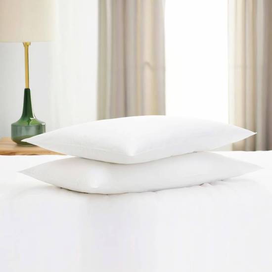 Gooeb Thin Pillow 2 Pack Standard