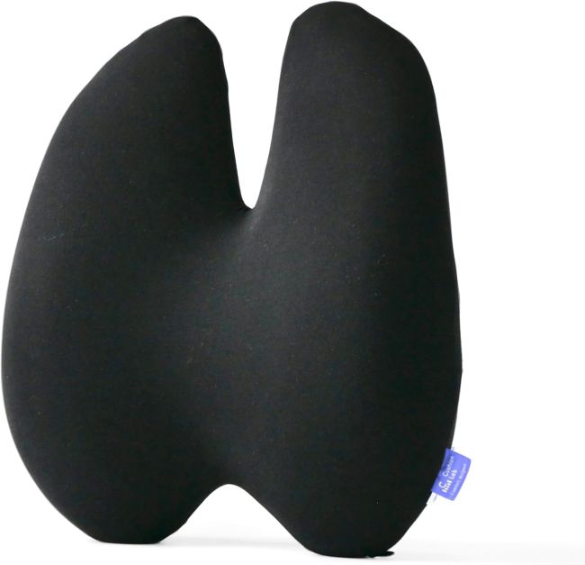 C CUSHION LAB Extra Dense Lumbar Pillow: Is It Worth the Price?