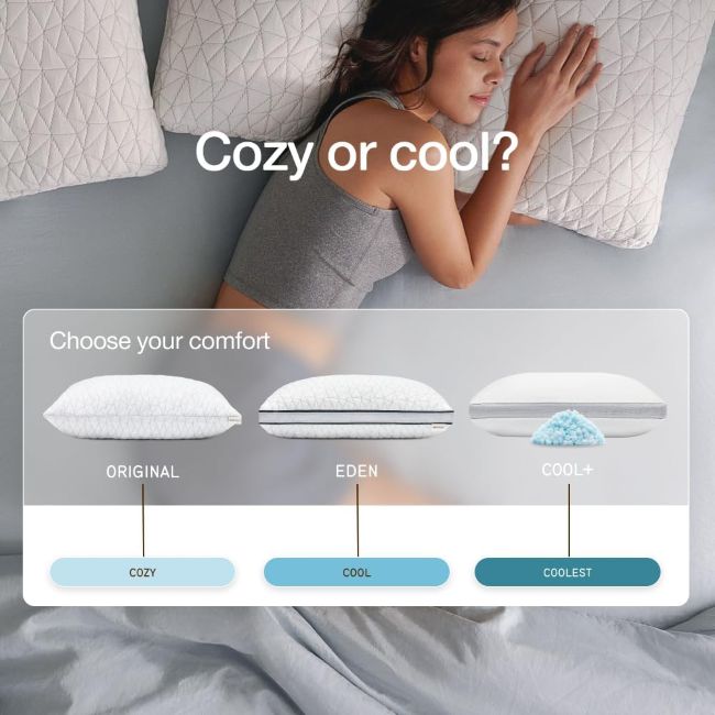 Coop Home Goods queen pillow providing flexible support for side, back, and combination sleepers