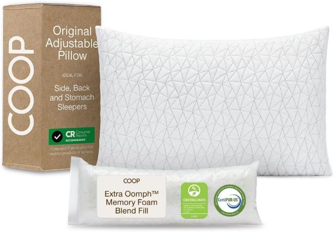 Best Coop Home Goods Queen Size Adjustable Pillow in New York (NY): Is It a Smart Choice for Different Sleeping Positions?