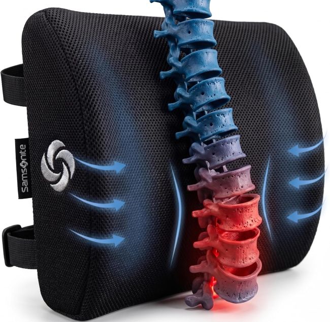 Samsonite Lumbar Support Pillow: What Makes It Worth Buying?